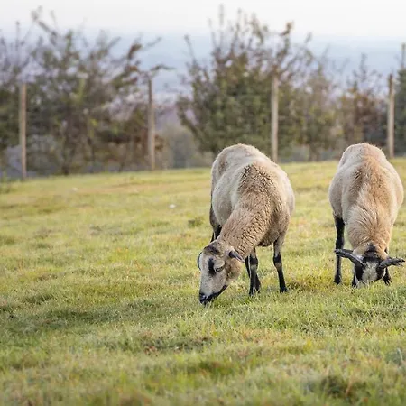 Penzion Maison D'hote La Ferme Du Grand Air