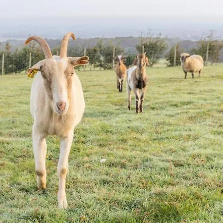 Maison D'hote La Ferme Du Grand Air *