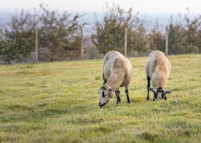 Maison d'hôtes Maison D'hôte La Ferme Du Grand Air