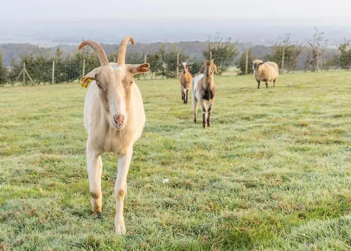 Maison D'hôte La Ferme Du Grand Air *